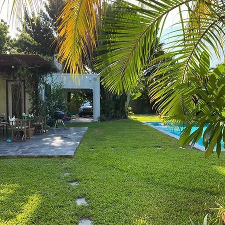 Miami Guest House With Large Pool Exterior photo