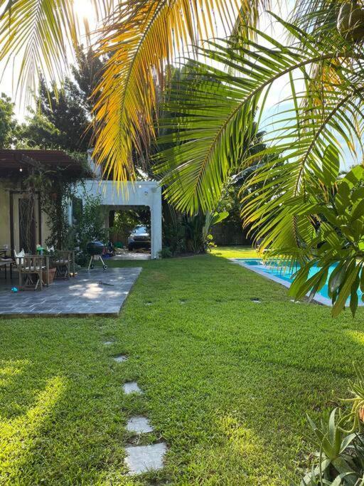 Miami Guest House With Large Pool Exterior photo